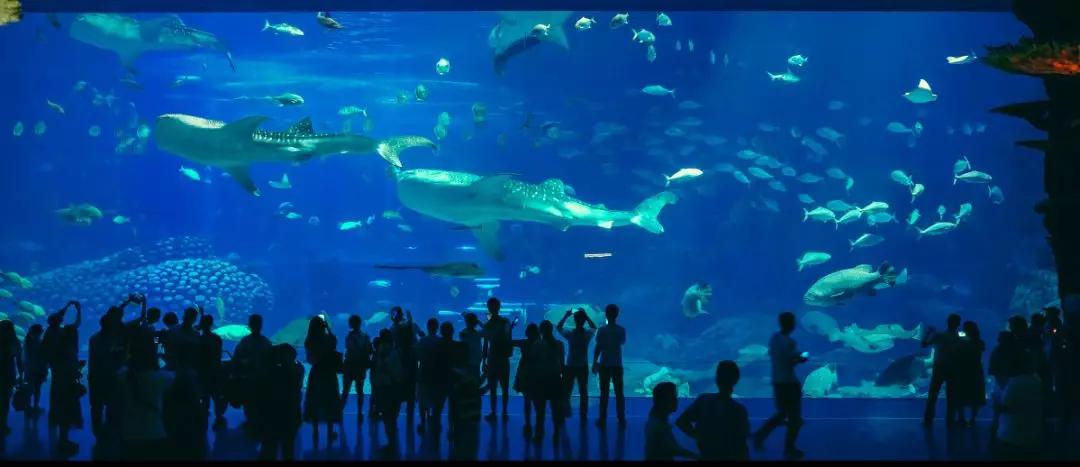 过年南方和北方的差异,北方人过年和南方人过年