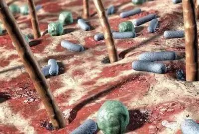 孩子上幼儿园后眼睛红肿长小疙瘩,孩子在幼儿园眼睛肿了