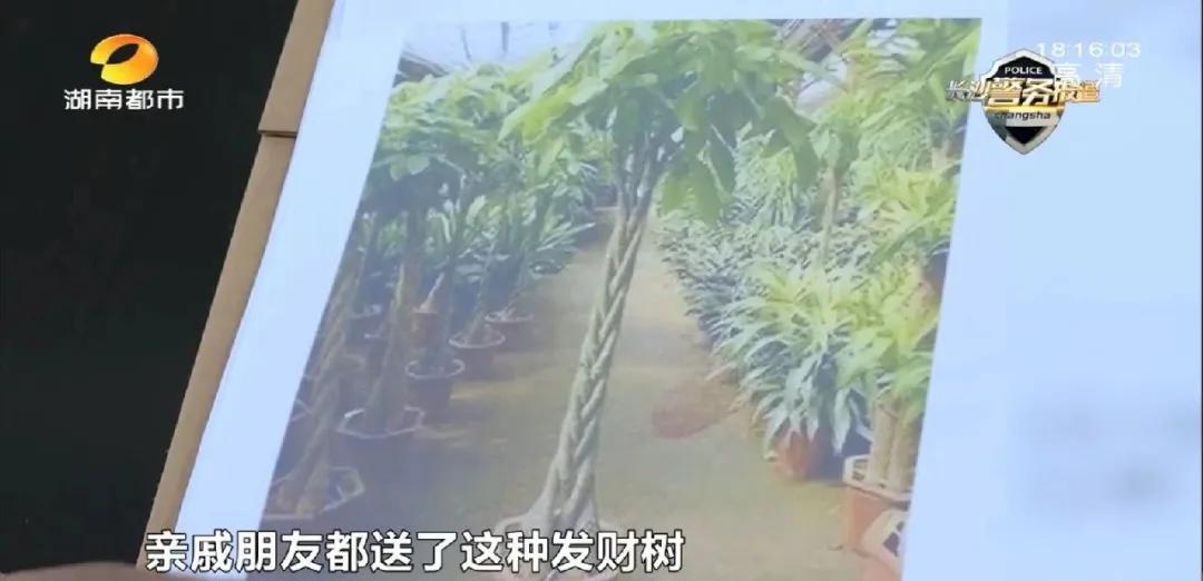 长沙单身女子落入“网恋”陷阱，被骗3万元！男子假意邀请“见家长”，谎称工厂开业诱赠花篮