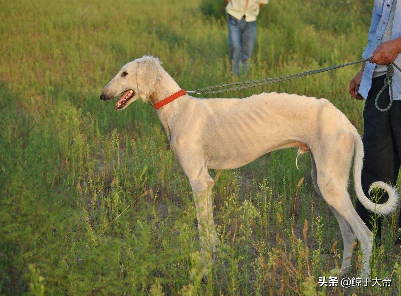 跑步分享爆款版,跑步分享心得