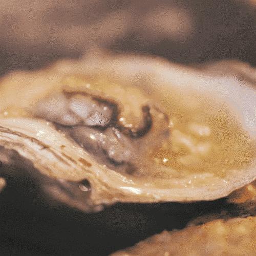 湛江美食生蚝推荐,湛江夜宵美食推荐生蚝