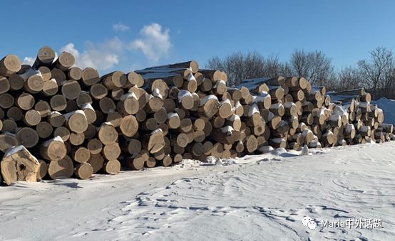 美国硬木干货价格,北美硬木排行