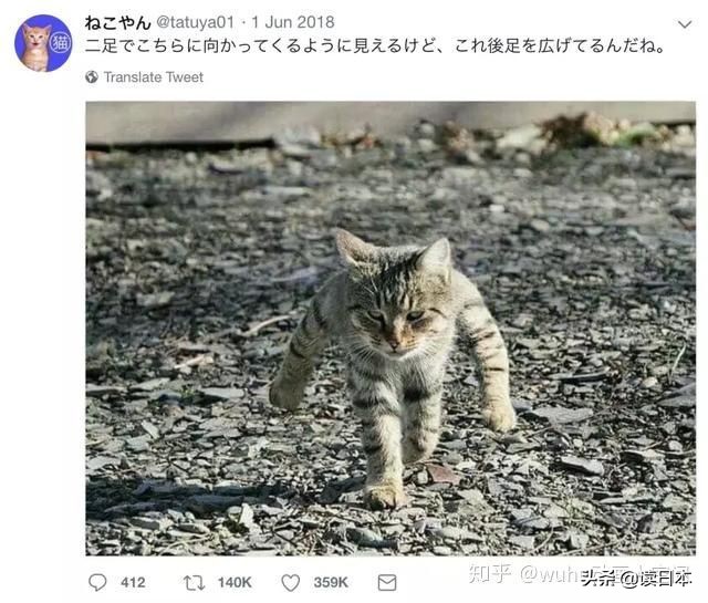 沙雕手办日本小哥,日本沙雕手办小哥哥