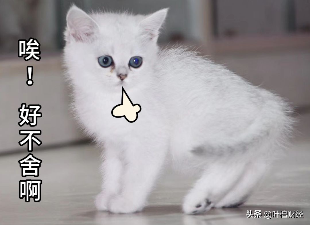 这类产品就是一个大忽悠！买了就坐等爆雷