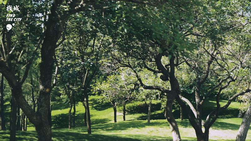 南宁人去隆安玩,南宁人去柳州玩