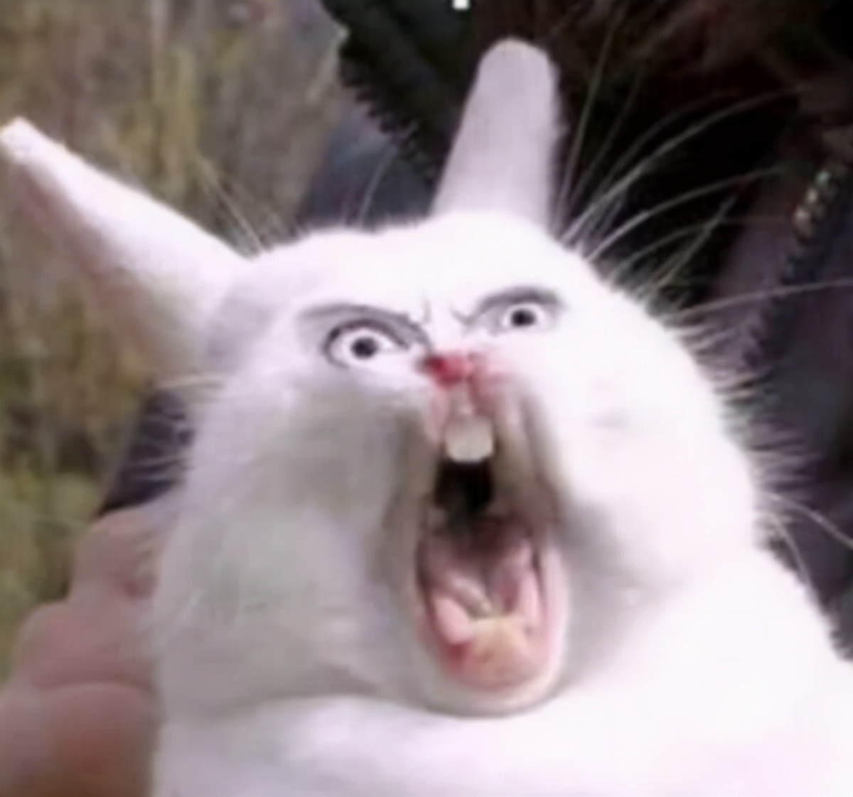 日本男性用AI去除18X视频马赛克,获利1100万被警方逮捕|ACGN新闻