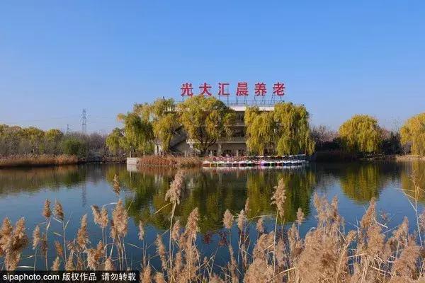 北京古塔公园推荐,北京最良心的古寺免费景点