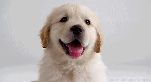 苏州市平江区万达广场,苏州平江万达广场