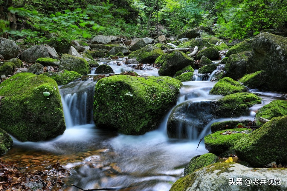 有一种旅行,叫去桓仁看绿