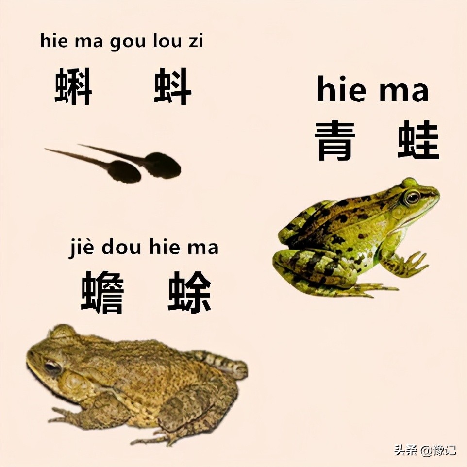 盘点你听不懂的河南方言,盘点25句经典的河南方言