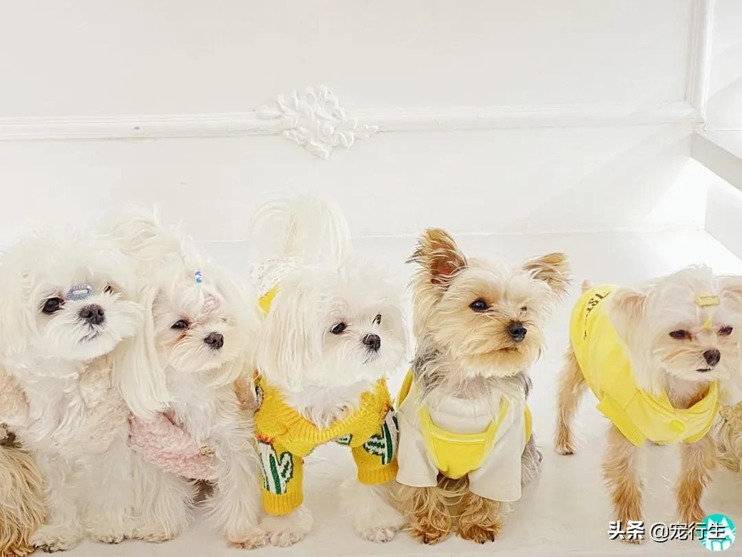 藏在写字楼里的服装店,藏在写字楼里的小店