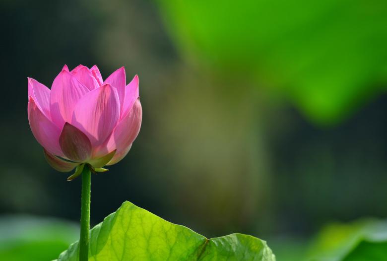 期货多强空弱交易原则,期货交易的一般原则