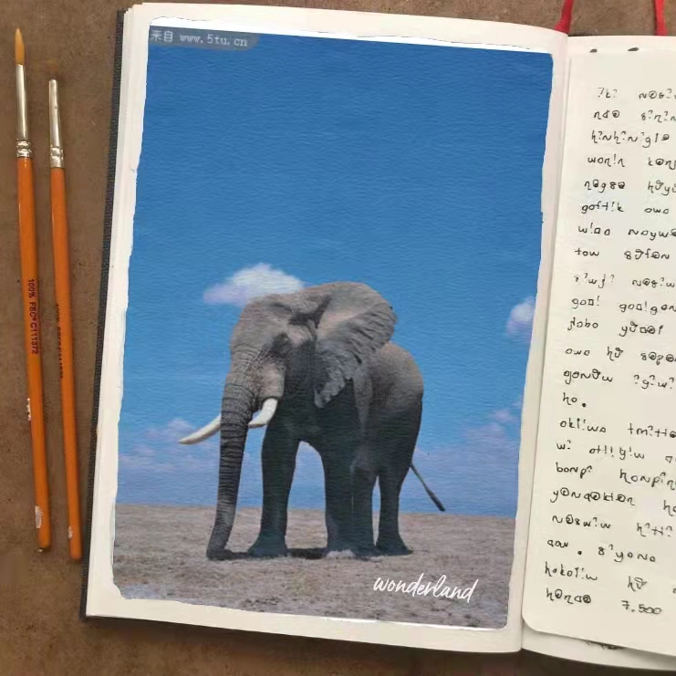 悦读《瞬变》相信你也会改变