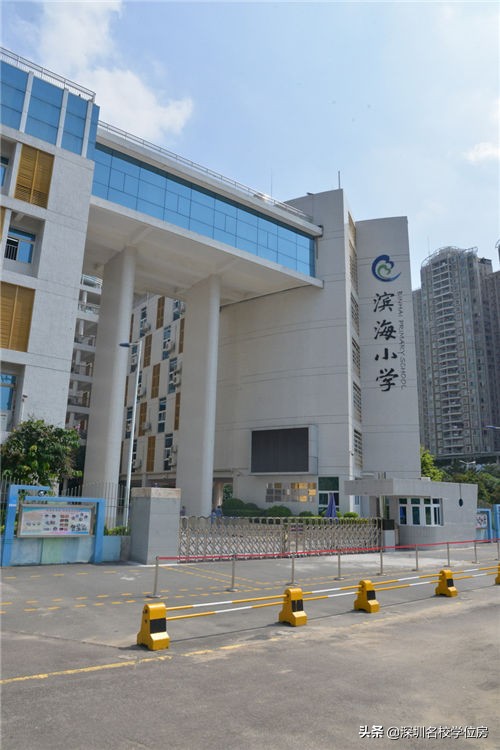 宝安小学排名一览表,弘雅小学在宝安的排名