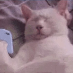 沈阳药科大学研究生一天真实生活,研究生毕业后的真实生活