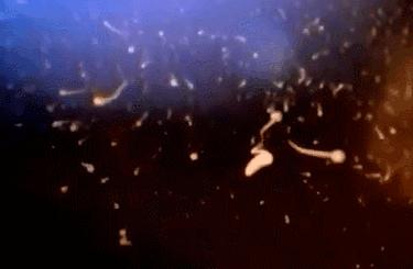 每一个都那么拼命前进，我们还好意思去选择性别吗？