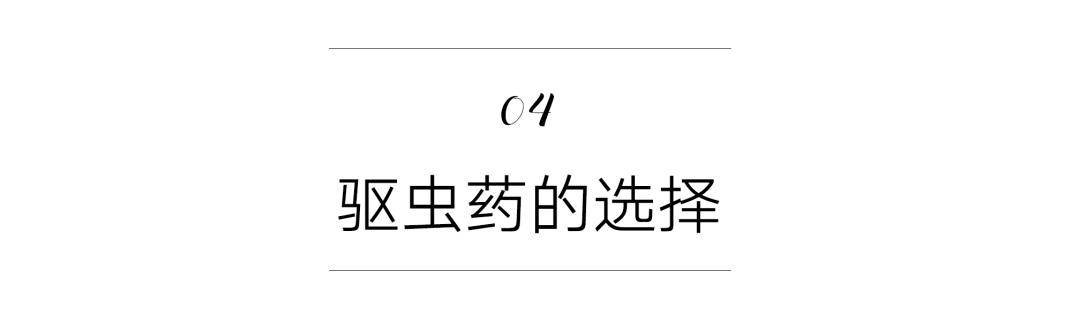 猫咪身上的寄生虫怎么处理,按时驱虫的猫咪还会有寄生虫吗