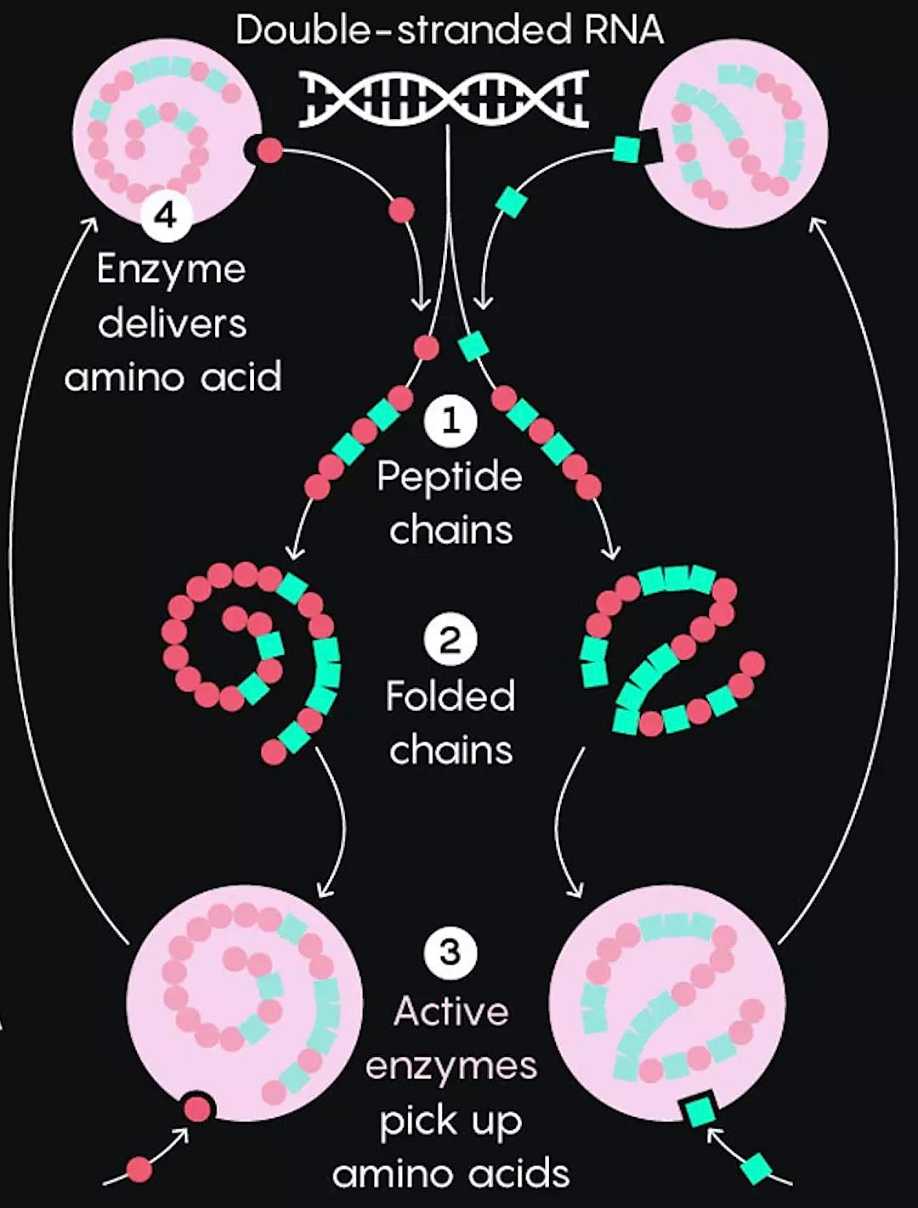 一口气搞懂可控核聚变,一口气懂历史