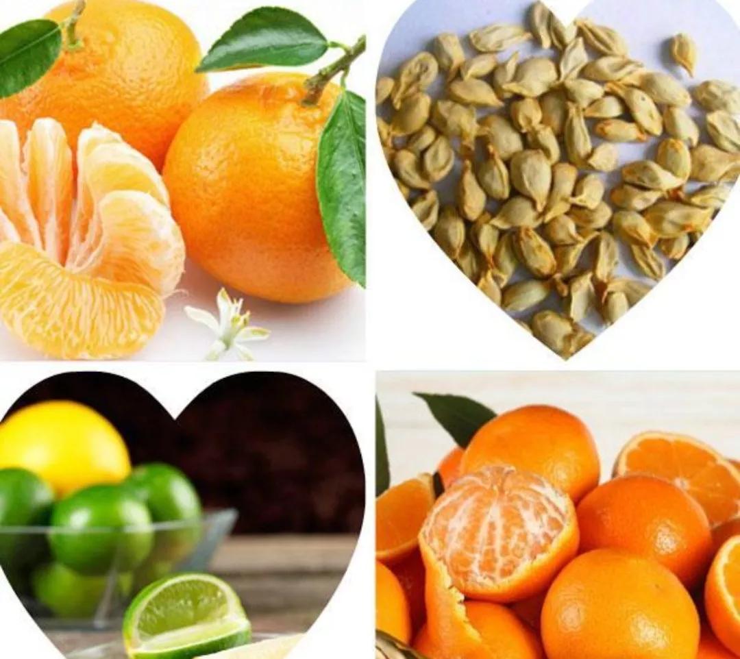 “胃病”护胃效果差?中医:注意是否为情志病。教您如何在家调节