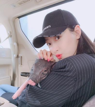 宋茜养猪奇葩视频,宋茜养猪达人完整视频