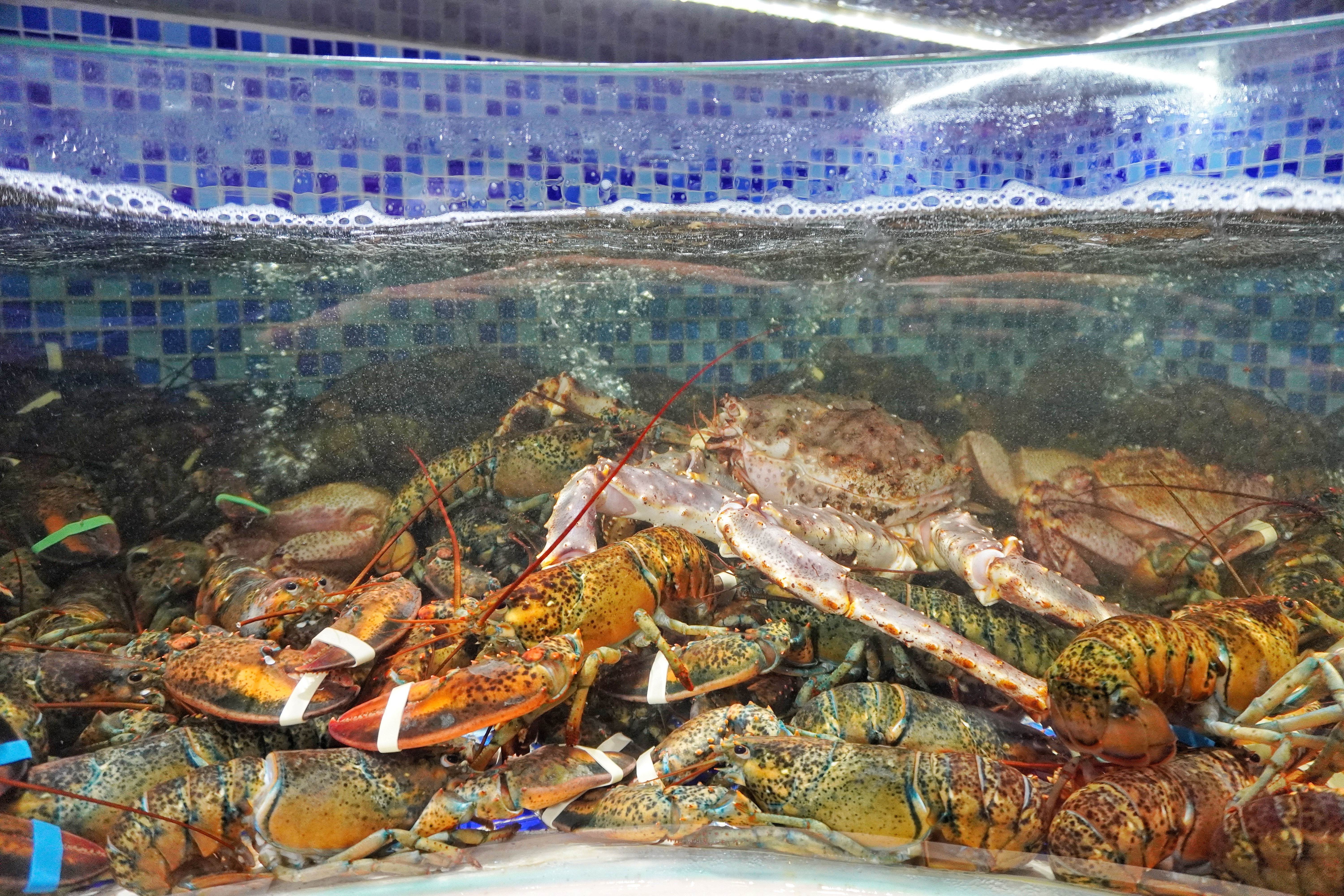 昆明海鲜大咖推荐珥季路,昆明24小时营业的海鲜大咖