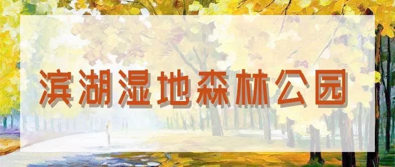 合肥秋季风景打卡地方排行榜,合肥最值得打卡地