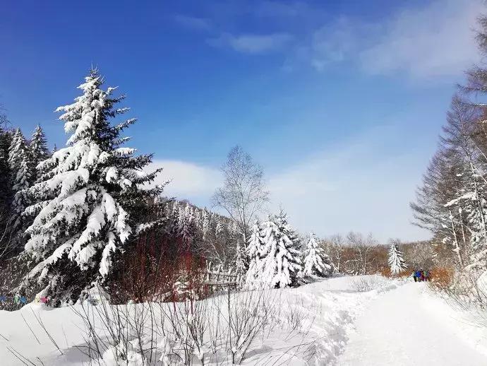 雪乡11月下旬的天气,11月份的雪乡有雪吗