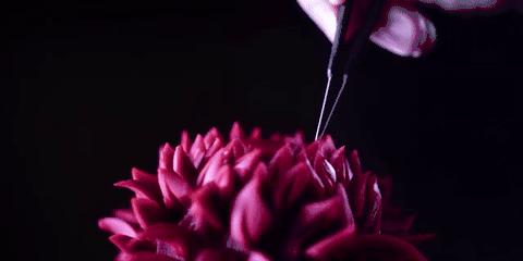 他说自己不是日本匠人，而是和果子艺术家，他做的和果子不忍吃掉