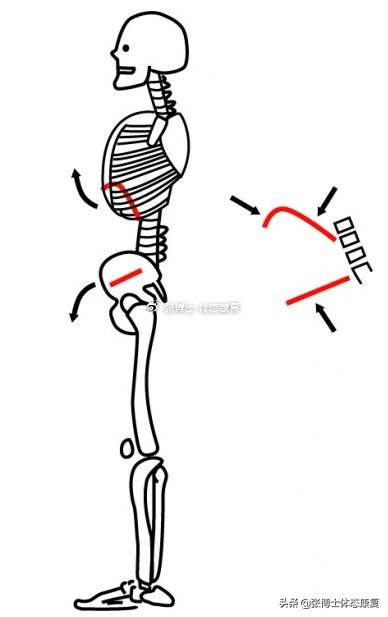 您了解腹式呼吸吗,腹式呼吸名词解释