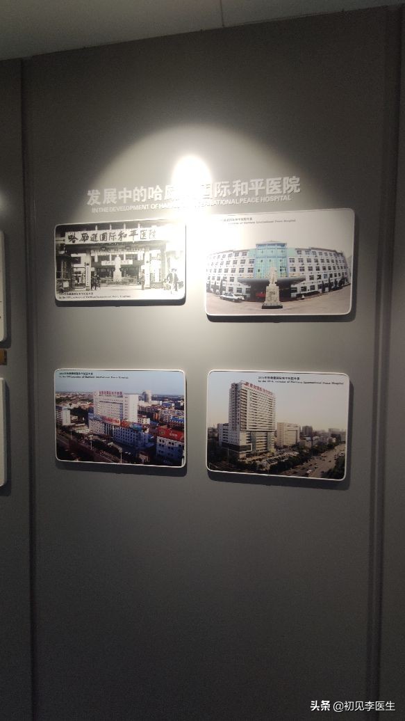 和白求恩大夫一样精神的事迹,白求恩和哈励逊