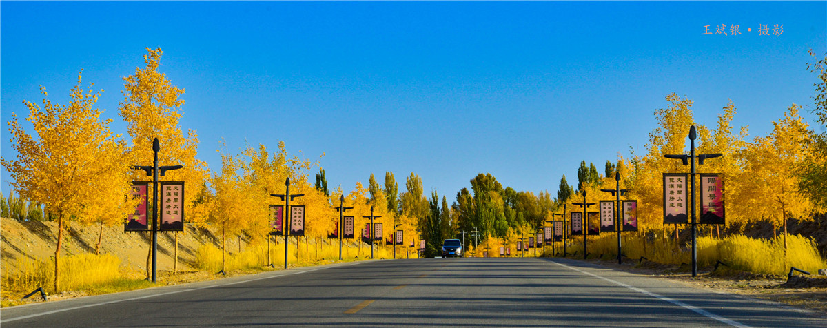 第一次去看胡杨的感触,第一次体验到沙漠乐趣