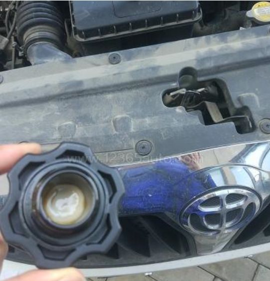 老鼠告诉你买二手车,二手车哪几款发动机可靠