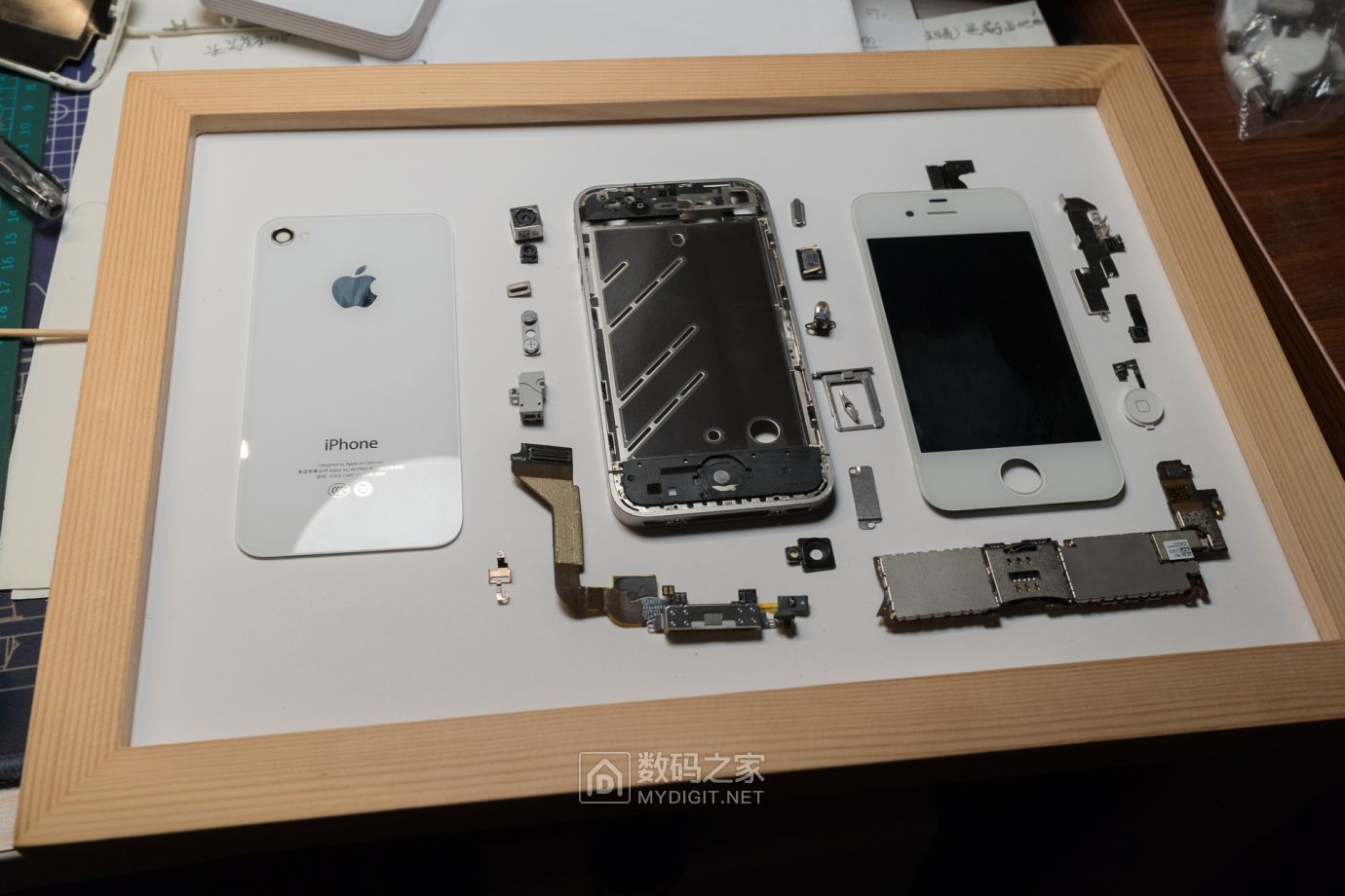 把未拆封的iphone4做成标本,iphone4被做成标本