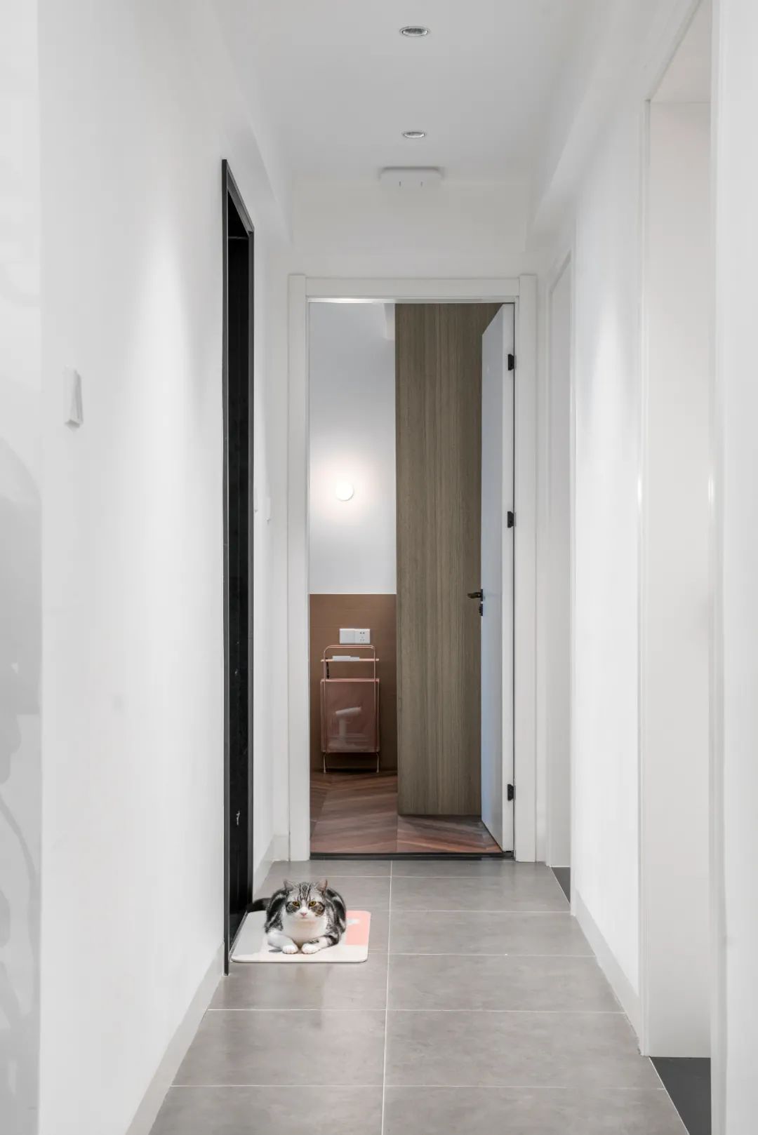 佛山女子与男友、男友妈弟住76㎡，养一猫还要工作室，装修绝了