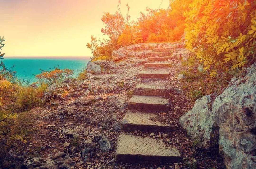 法国香水生产地，香奈儿迪奥诞生于此，两座香水之都有什么来头？