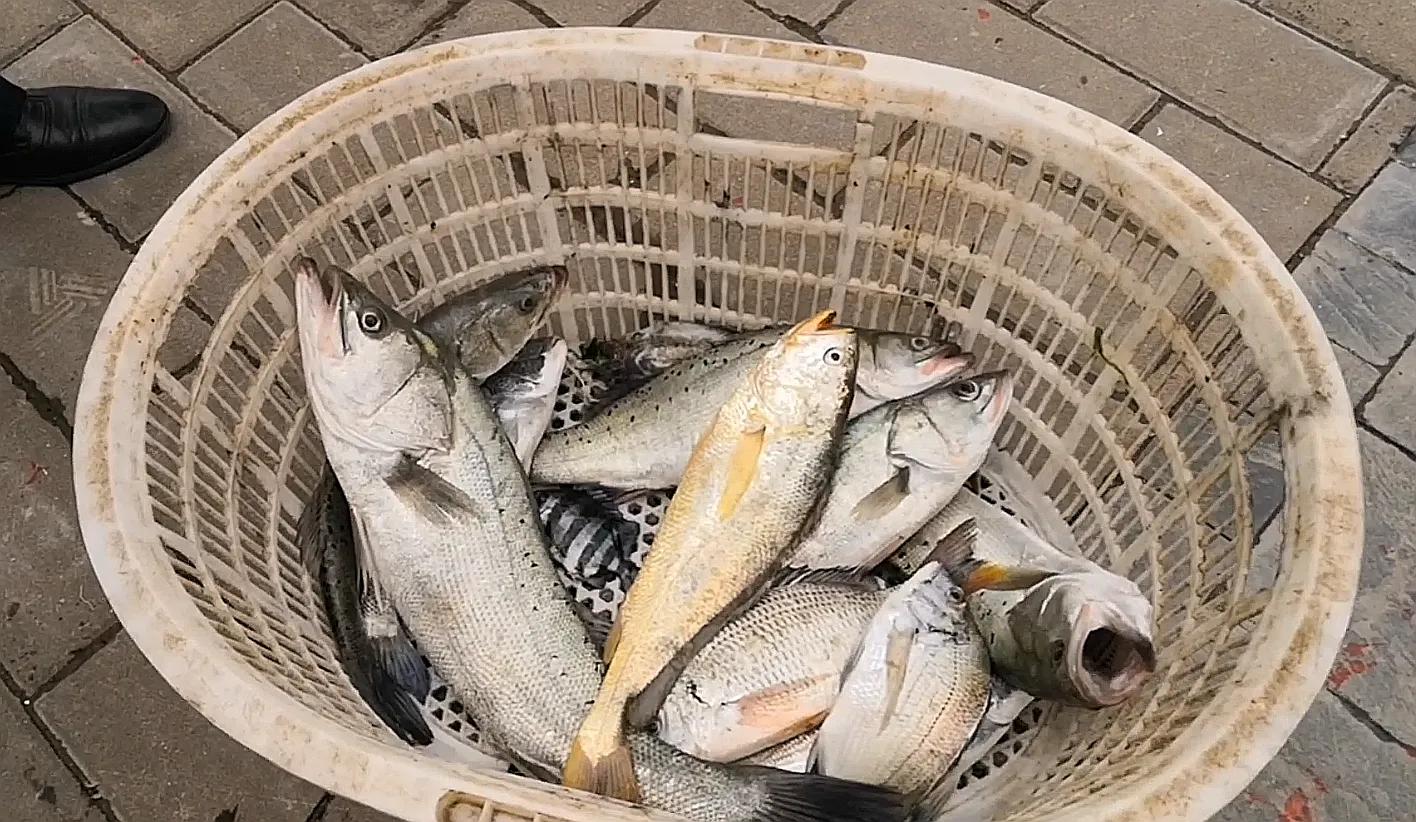 海钓赚钱吗一年可以赚多少钱,给初玩海钓新手的十点忠告