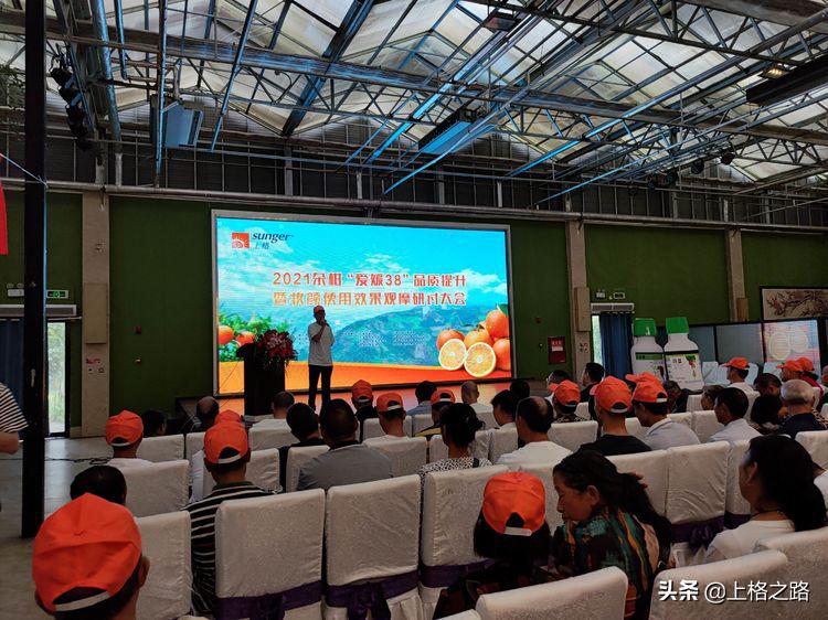 眉山柑橘推介会,眉山柑橘技术