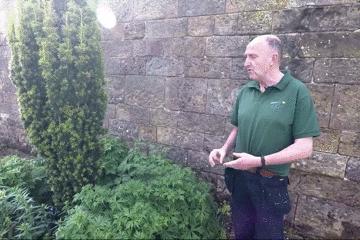 世上最毒的花园,最毒的花园有多可怕