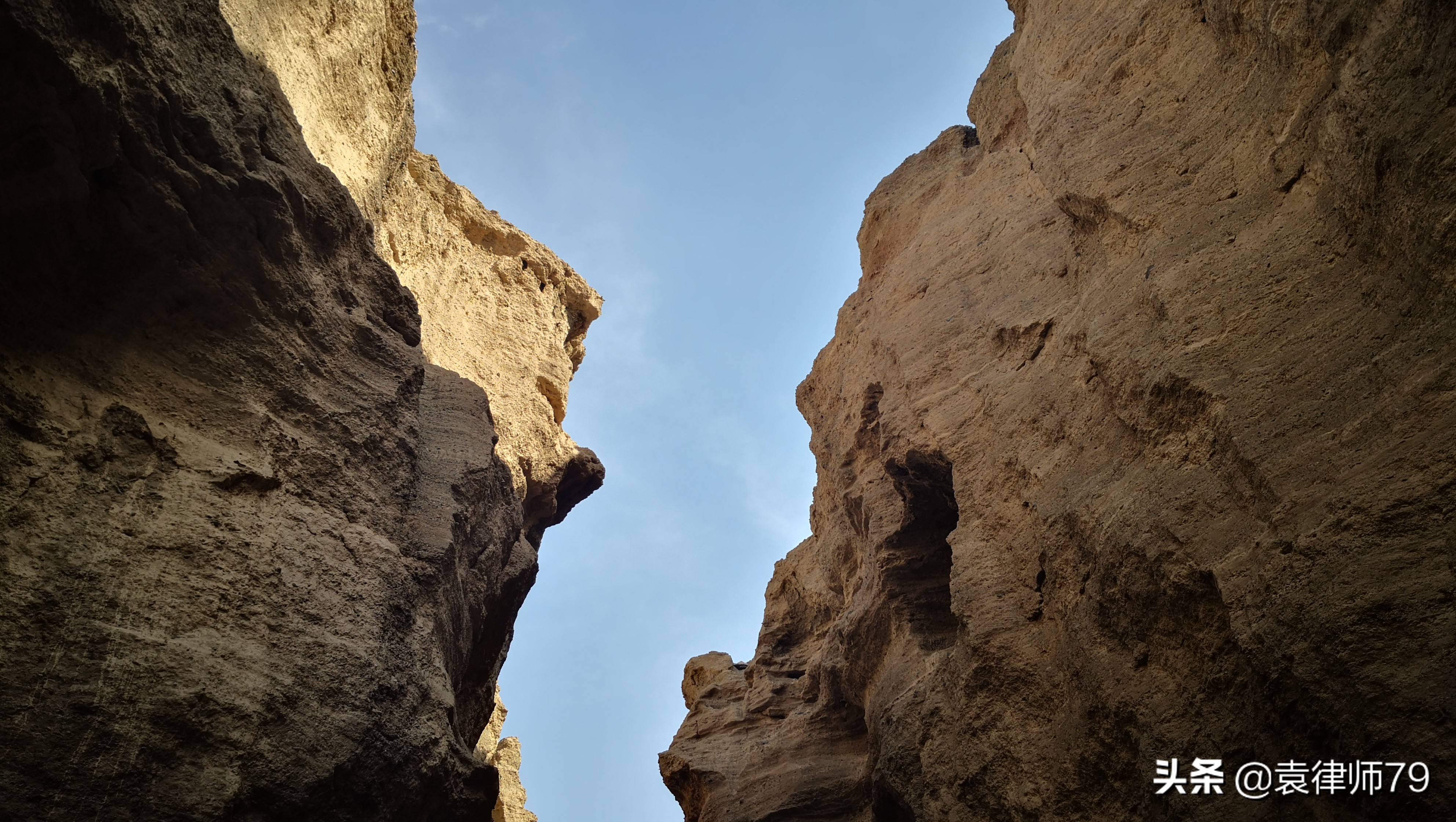 铏氬亣璇夎濡備綍鎾ら攢,铏氬亣璇夎鎬庝箞鎾ら攢