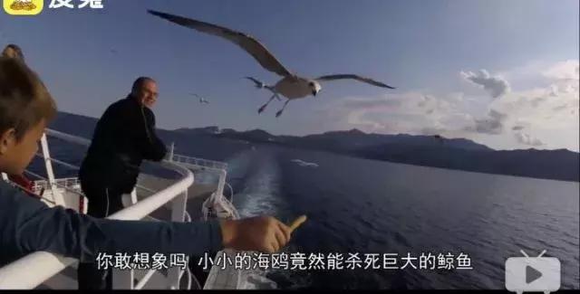 学姐神吐槽：在英国千万别做什么？看完我笑了