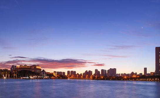 鸽群飞翔视频大全,鸽群飞翔视频