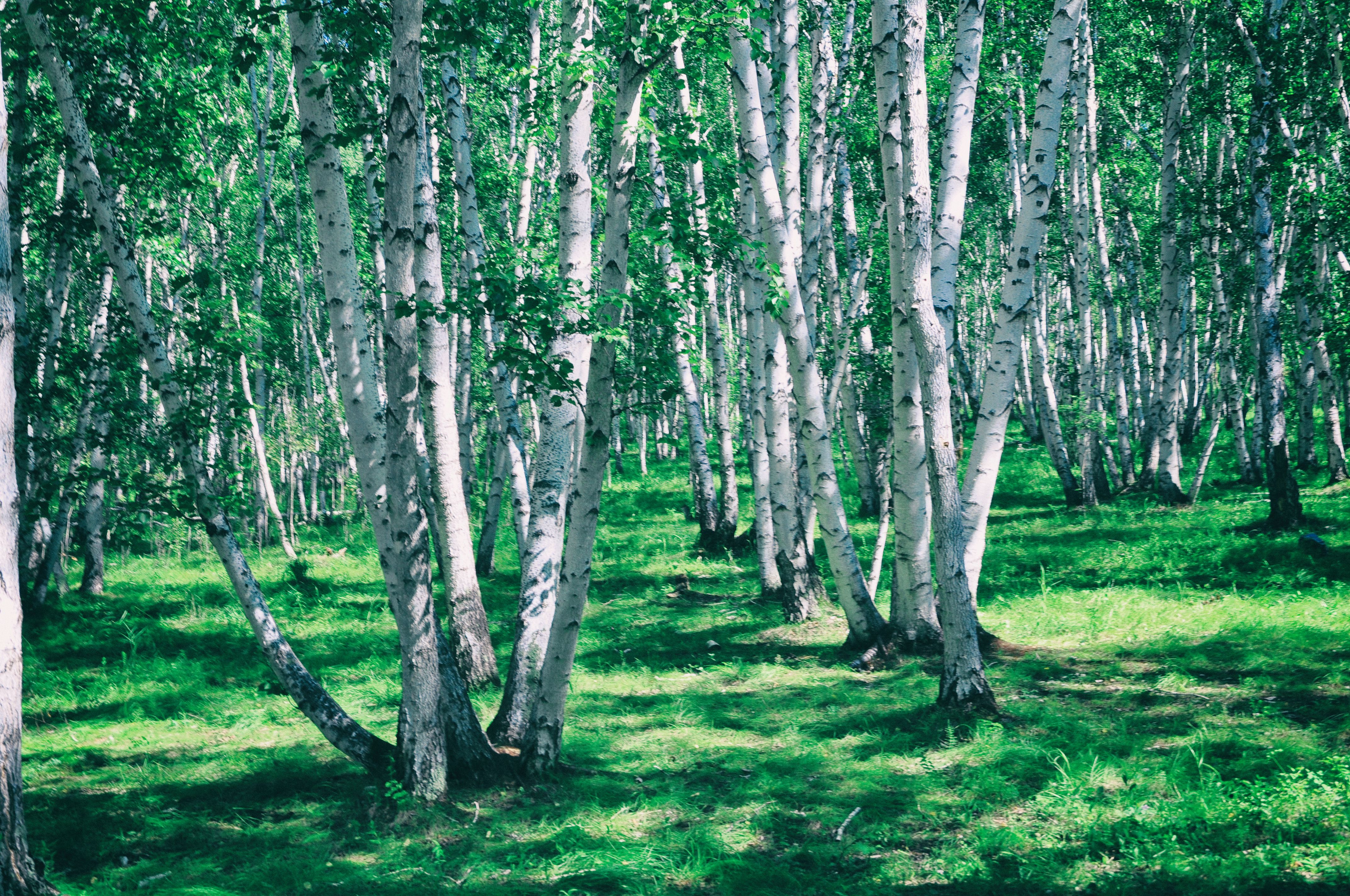 南方人自驾来东北是啥体验,15天一万公里的新疆感受