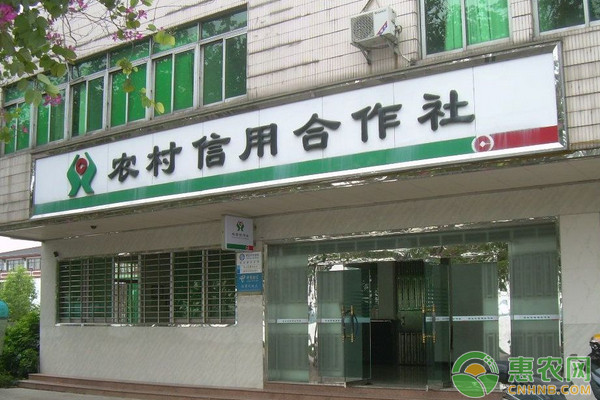 农业创业贷款免息需要什么条件,甘肃农村创业贷款新政策免息