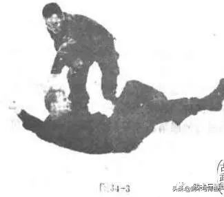 被人抓头发怎么破,被抓头发如何解脱