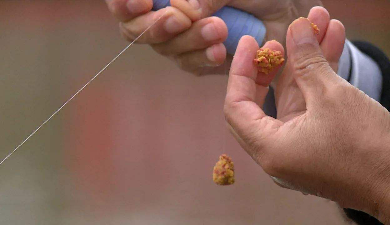 抛竿怎么抛饵不会掉呢,记住这六点合理避坑