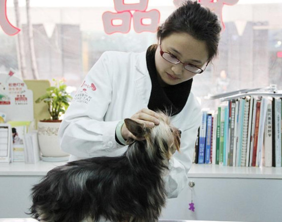 辟谣狗狗,狗狗辟谣