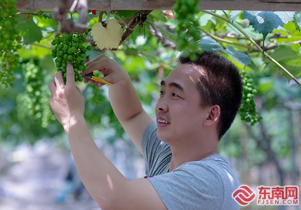 新农人夫妻档,新农人夫妻档全集