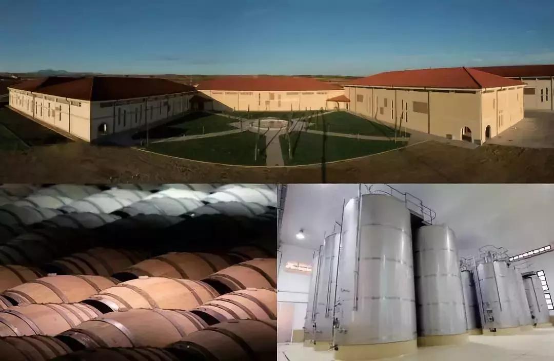 张裕葡萄酒酒先锋,张裕先锋智利