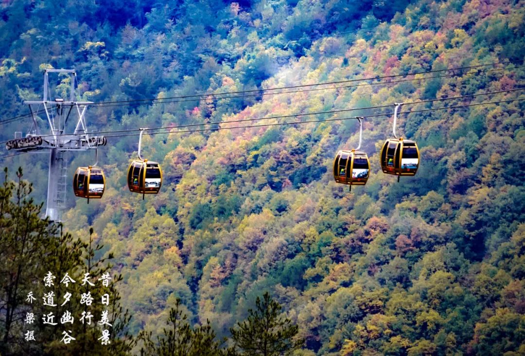 巫山红叶全攻略,巫山红叶2020