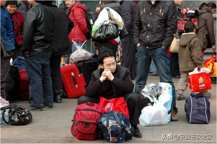 用兔子赚钱,农村创业致富好项目养殖兔子